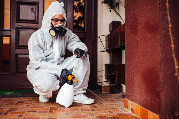 Reliable Wasp Removal contractor in Clayton, DE by Show Me Pest Control
